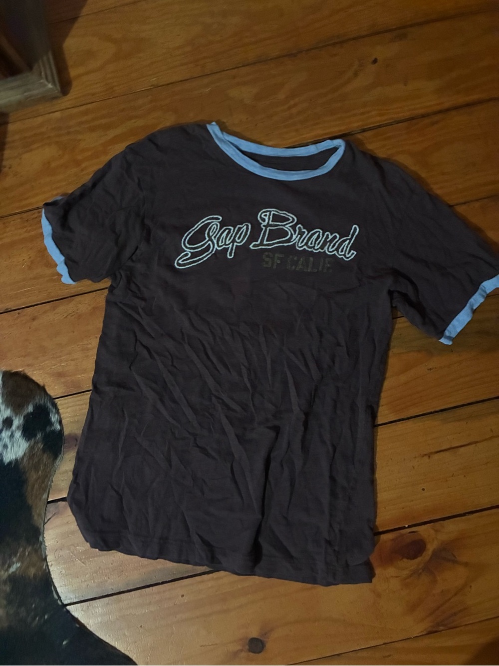 GAP Brown Tee with Light Blue Trim